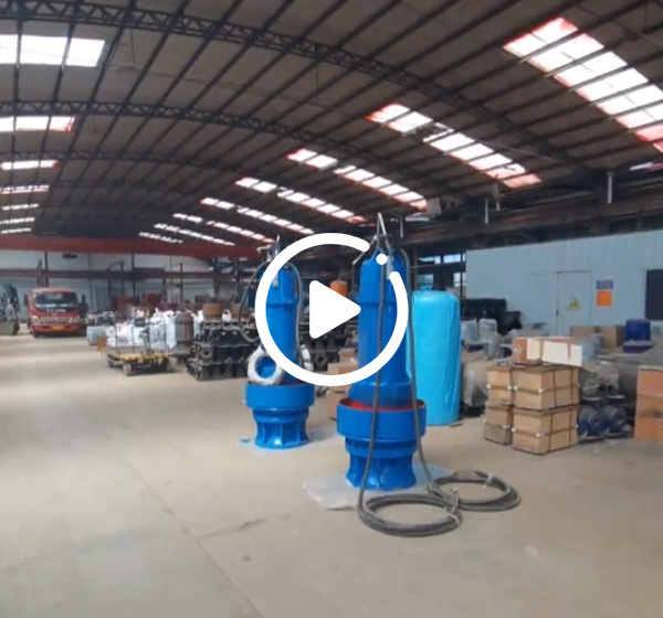 潛水（shuǐ）軸流泵